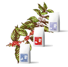 將圖片載入圖庫檢視器 Single Origin Coffee Tasting Kit B (x3) 品嚐套裝優惠 B (x3)
